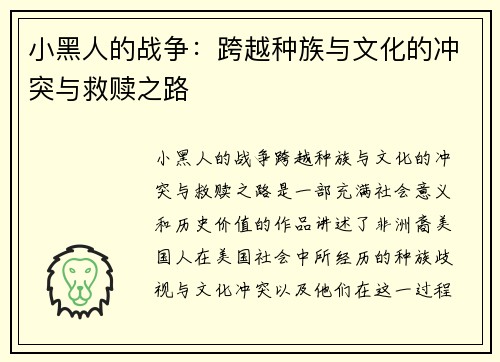 小黑人的战争：跨越种族与文化的冲突与救赎之路